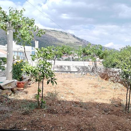 Apartment Vera Дубровник Екстериор снимка